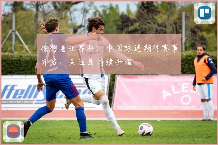我想看世界杯:中国球迷期待赛事开启,关注度持续升温