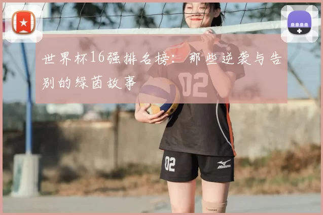 世界杯16强排名榜：那些逆袭与告别的绿茵故事
