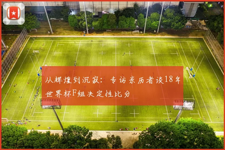 从辉煌到沉寂：专访亲历者谈18年世界杯F组决定性比分