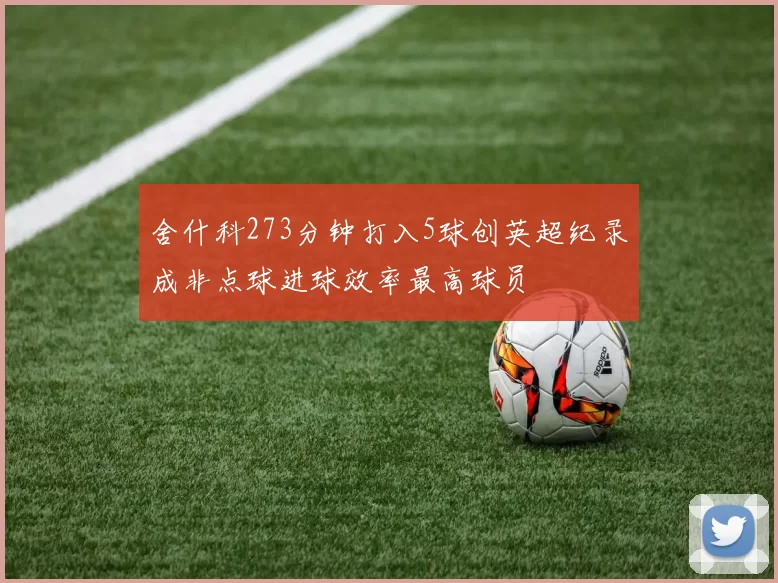舍什科273分钟打入5球创英超纪录成非点球进球效率最高球员