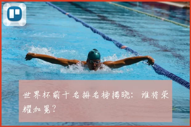 世界杯前十名排名榜揭晓：谁将荣耀加冕？