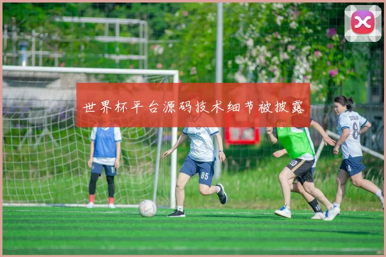 世界杯平台源码技术细节被披露