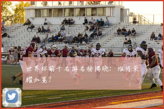 世界杯前十名排名榜揭晓：谁将荣耀加冕？