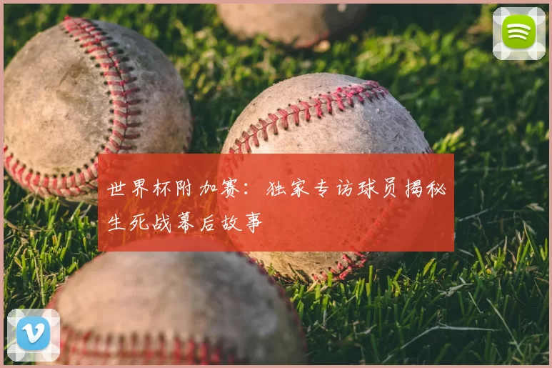 世界杯附加赛：独家专访球员揭秘生死战幕后故事