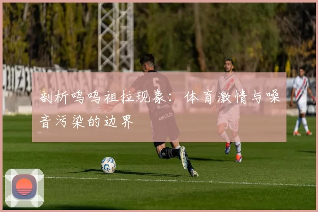 剖析呜呜祖拉现象：体育激情与噪音污染的边界