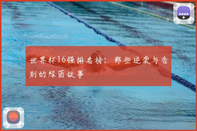 世界杯16强排名榜：那些逆袭与告别的绿茵故事